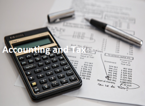 Individual tax filing
